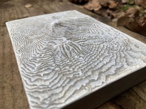 kilimanjaro beton cadeau